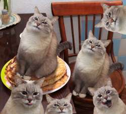 197