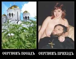 559x438