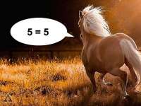 600x450