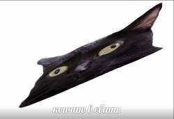 603x414
