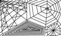 962x573