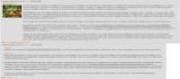 1898x839