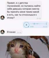 528x622