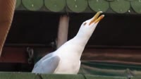 640x360