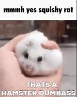 396x498