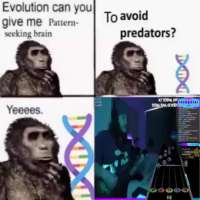 460x460