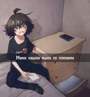 736x789