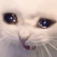 512x512