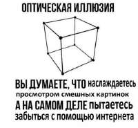 537x499