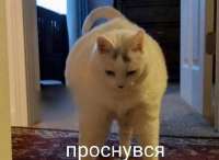 828x606