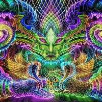 500x500