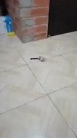 360x644