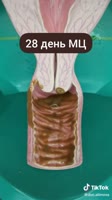 576x1024