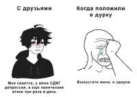 828x590