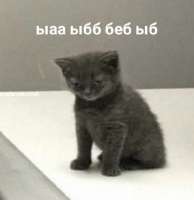 611x627
