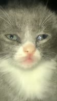720x1278
