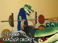 400x299