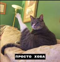 448x464