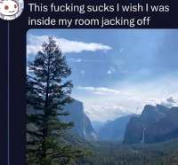 1280x1191