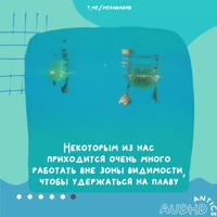 720x720