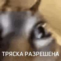 498x498