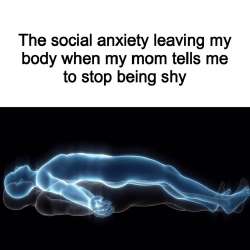 736x736