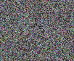 296x244