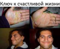 600x493