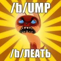 50