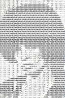 350x528