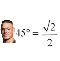 592x604
