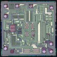 1000x1008