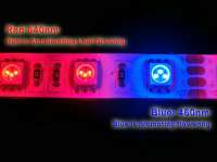 800x599