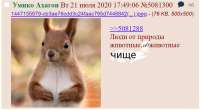 779x431