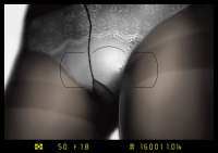 1200x850