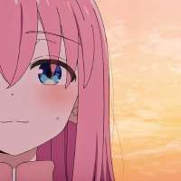 736x736