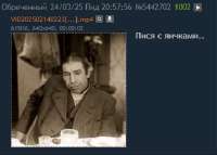 376x269