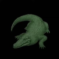 720x720