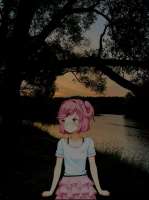 736x982