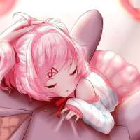 736x736