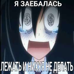 736x736