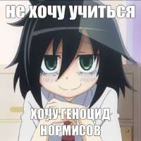 736x736
