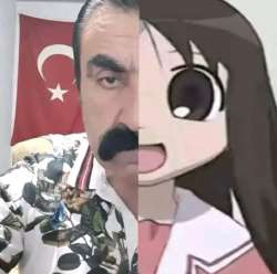 736x732