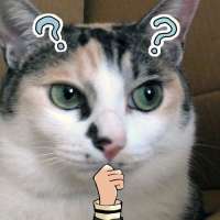 56