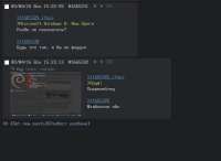 623x456