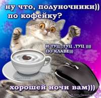 491x480