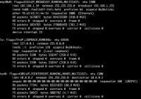 1262x890