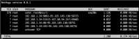 1388x392