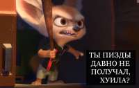 1236x789
