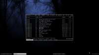 1366x768
